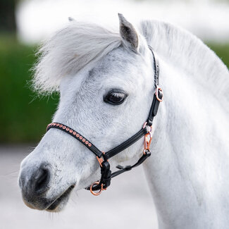 Harry's Horse Pony/Veulenhalster Leder Crystal Rosegold