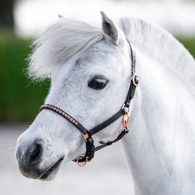 Harry's Horse Pony/Veulenhalster Leder Crystal Rosegold