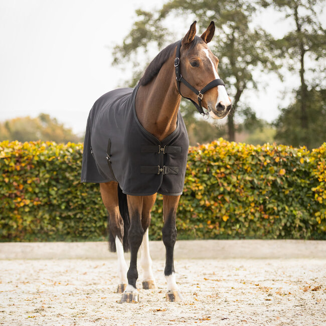 Qhp Showdeken Avenna