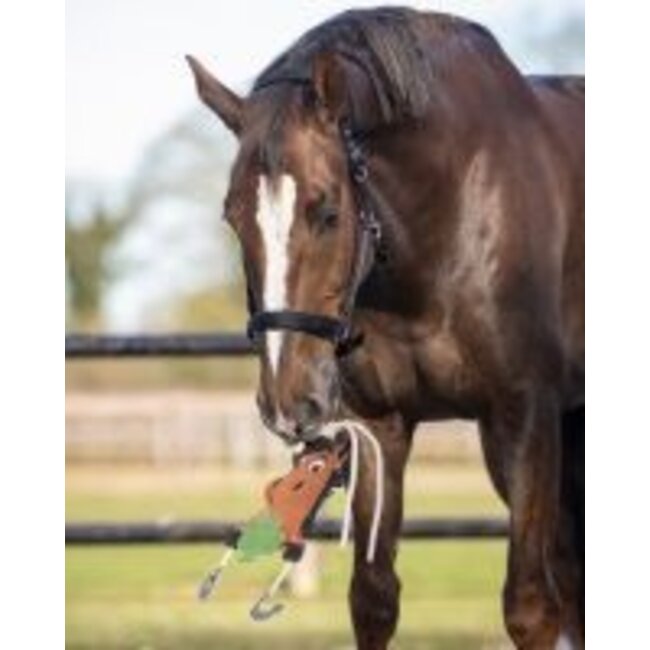 Qhp Paardenspeelgoed Good luck Groen