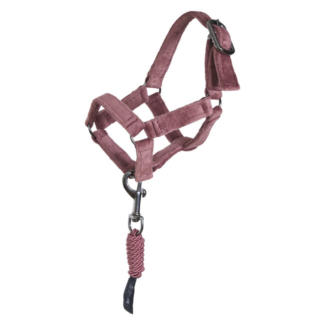 Imperial Riding MInihorse set staldekens