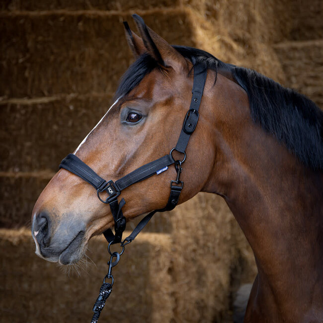 Harry's Horse Halsterset Black Edition