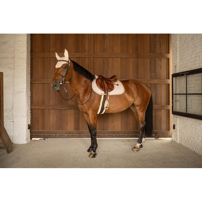 Kentucky Zadeldek Full Sparkling
