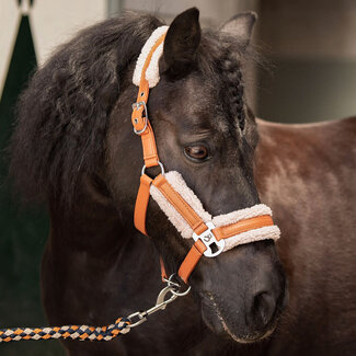 Harry's Horse Halsterset Soft STOUT! Maverick