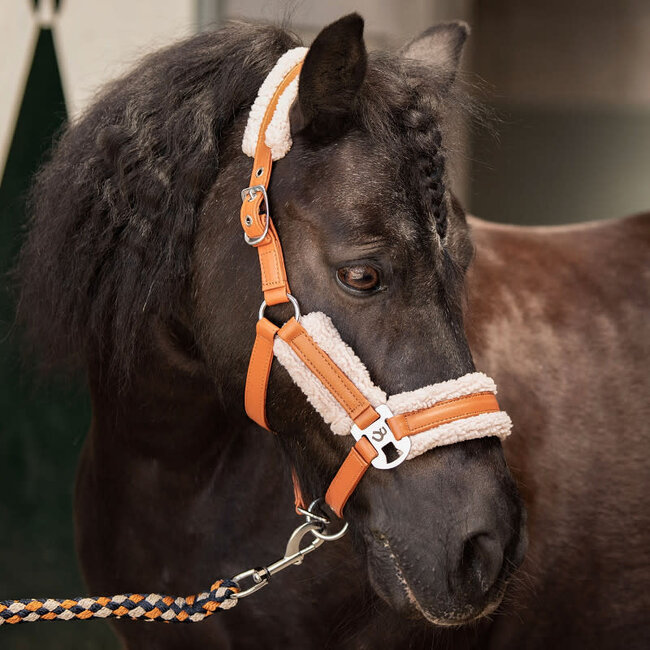 Harry's Horse Halsterset Soft STOUT! Maverick
