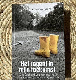 Boek Het regent in mijn toekomst