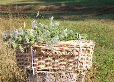 Natuurbegraven