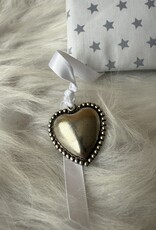 Herinneringsboek grijze ster