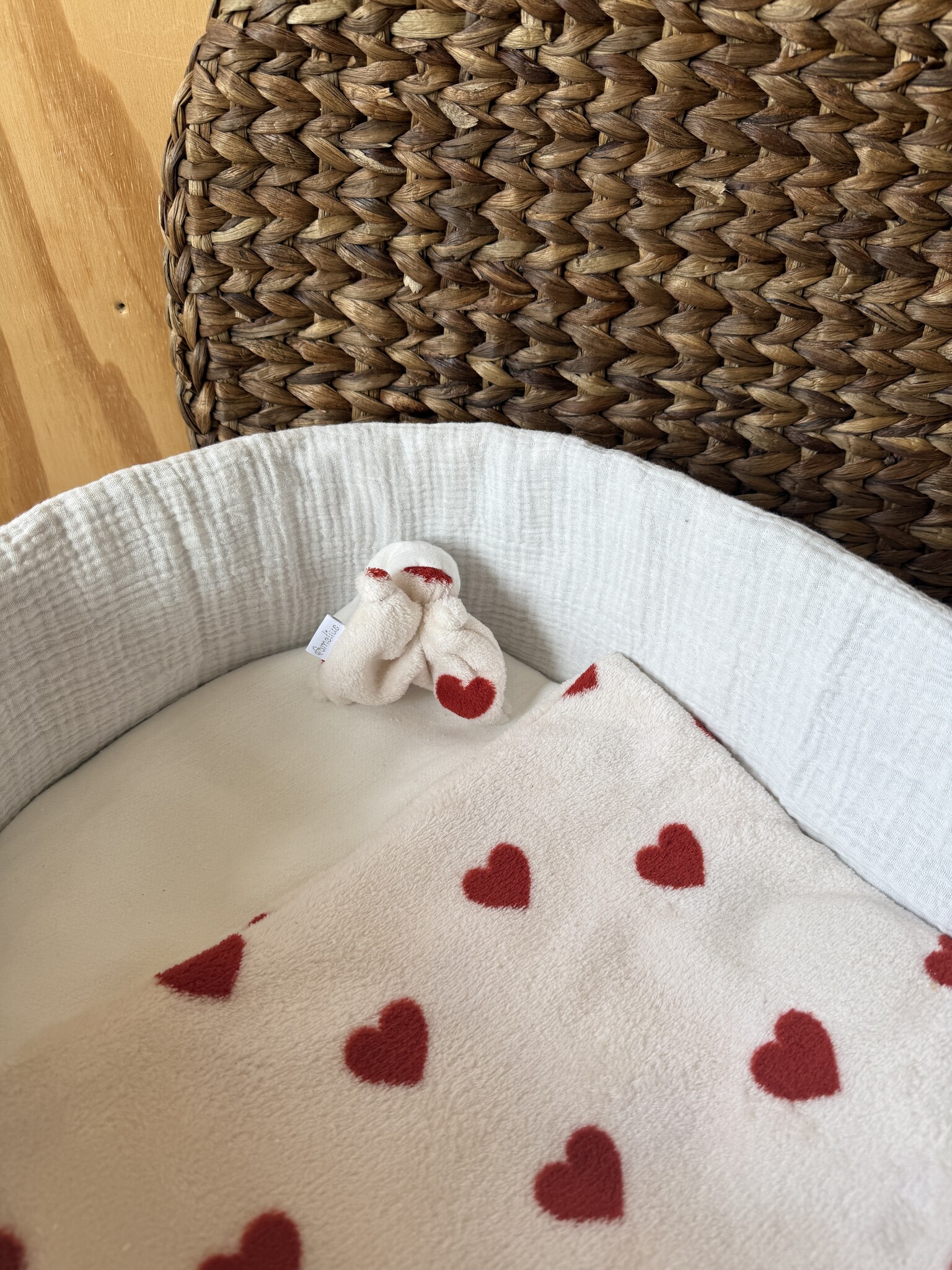 Waterhyacint Camelia