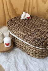 Waterhyacint Camelia