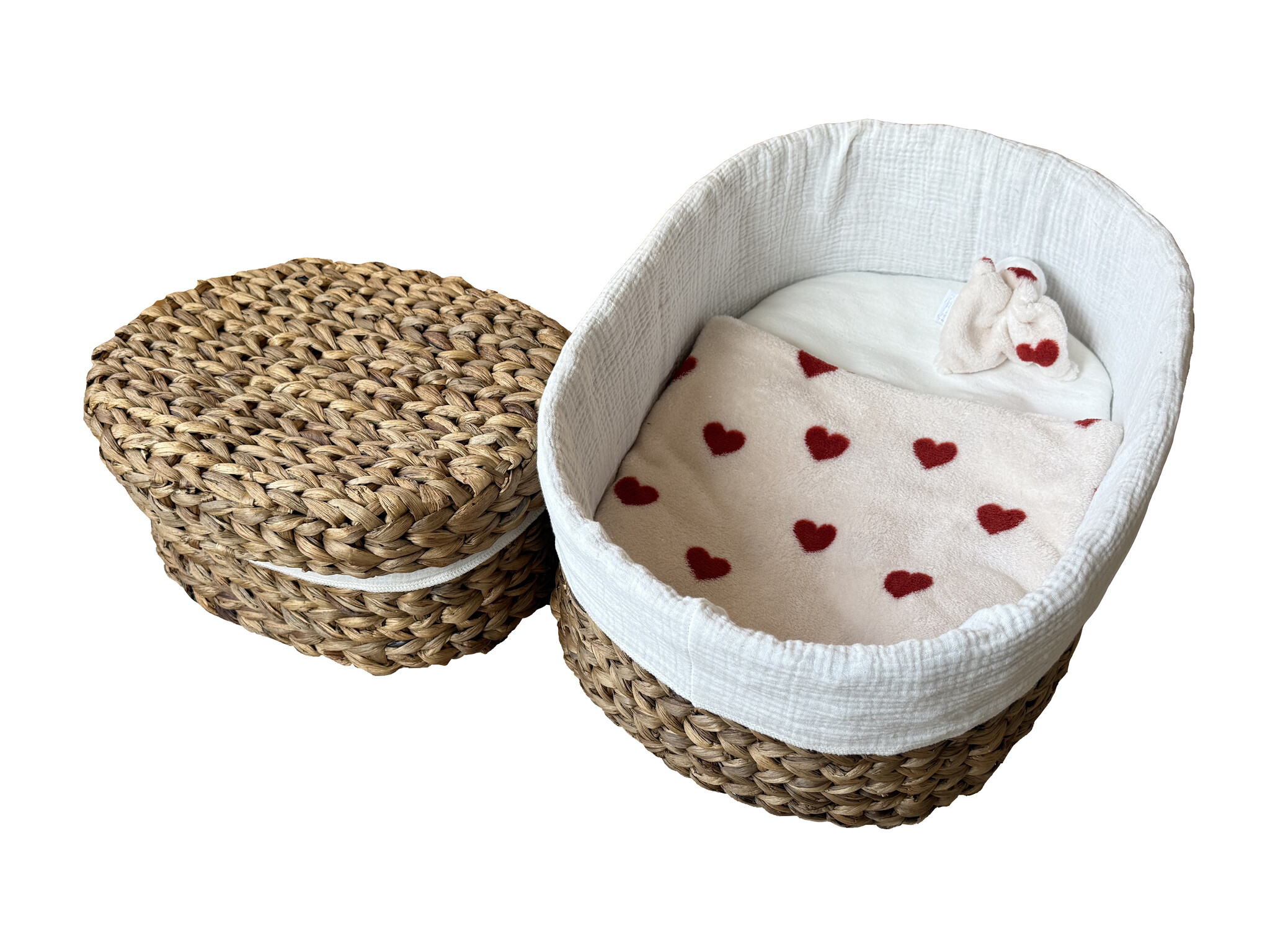 Waterhyacint Camelia