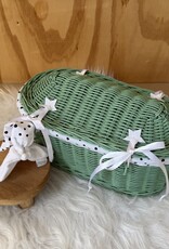 Riet - Jasmijn 30 cm