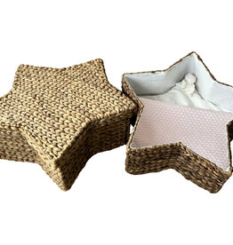 Ster waterhyacint - Sky Roze