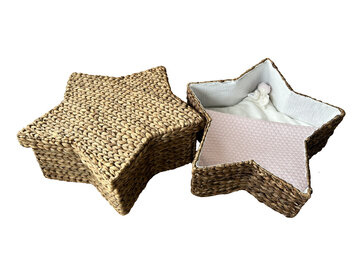 Ster waterhyacint - Sky Roze