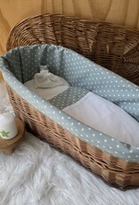 Wilgenteen Oleander 60 cm