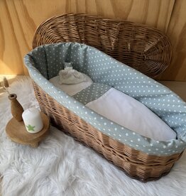 Wilgenteen - Oleander 60 cm