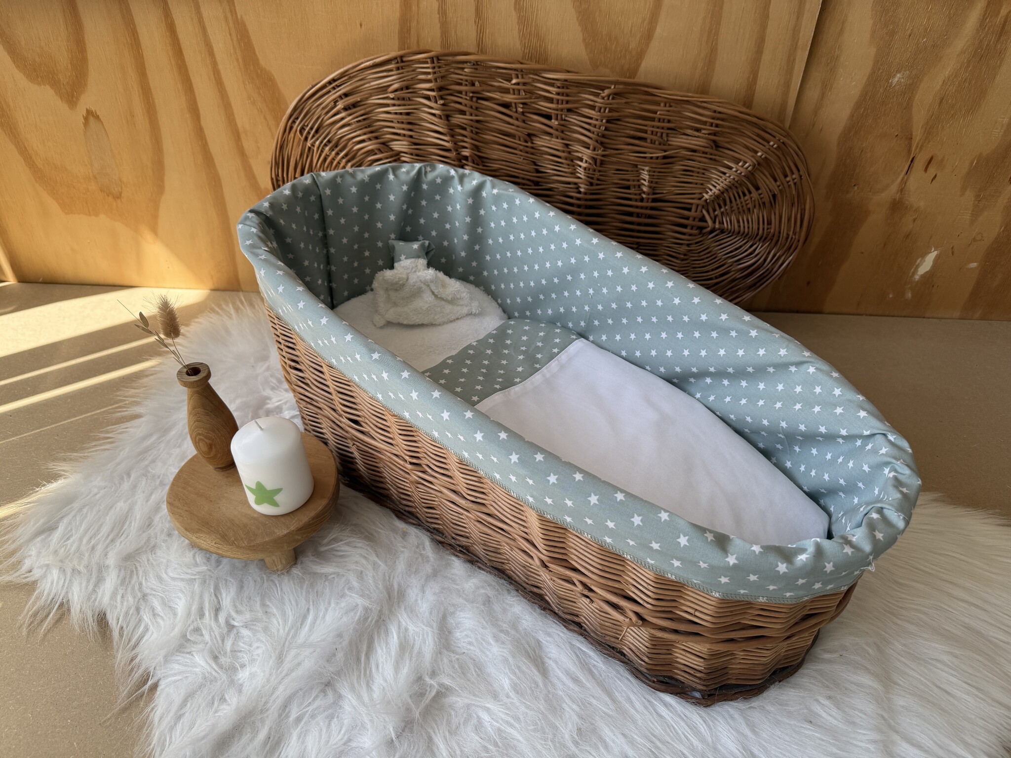 Wilgenteen Oleander 60 cm