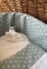 Wilgenteen Oleander 60 cm