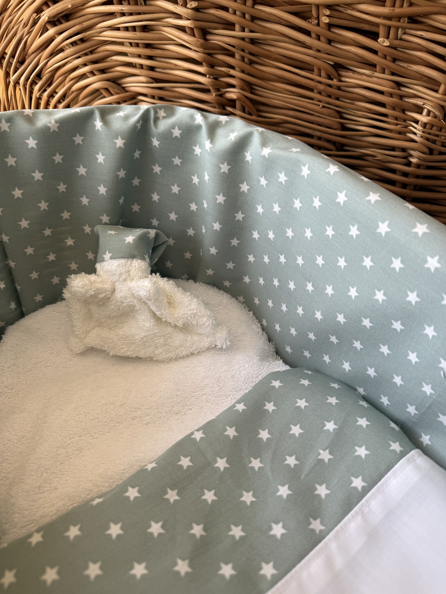 Wilgenteen Oleander 60 cm