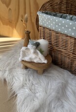 Wilgenteen Oleander 60 cm