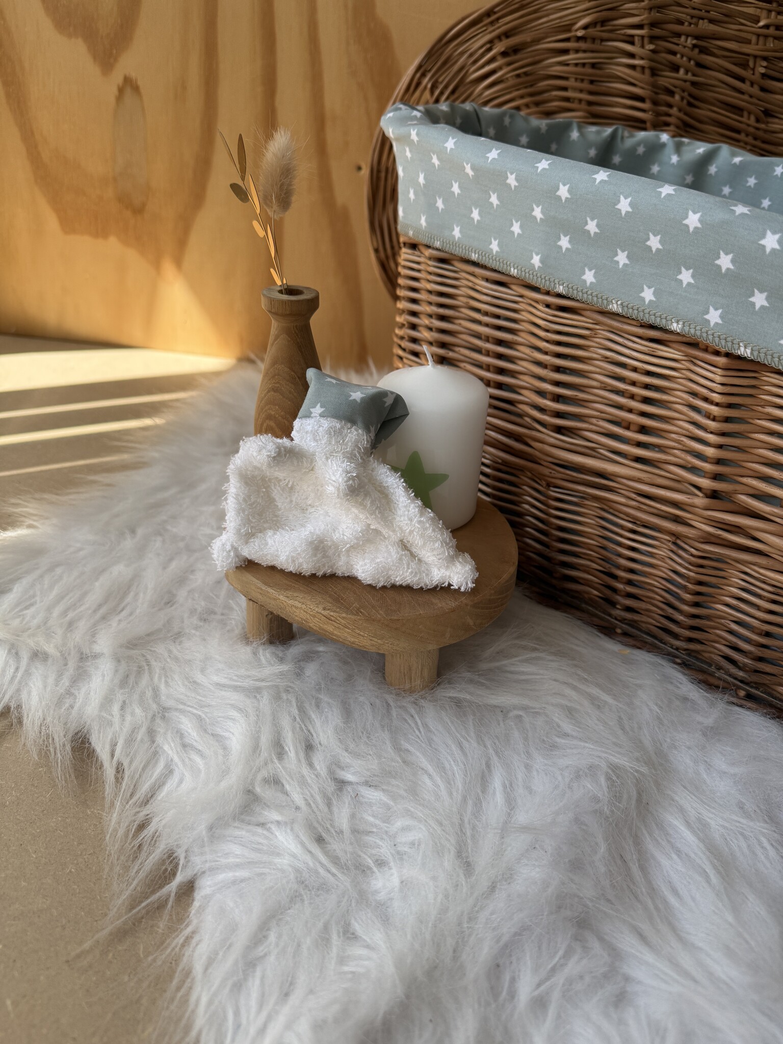 Wilgenteen Oleander 60 cm