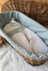 Wilgenteen Oleander 60 cm