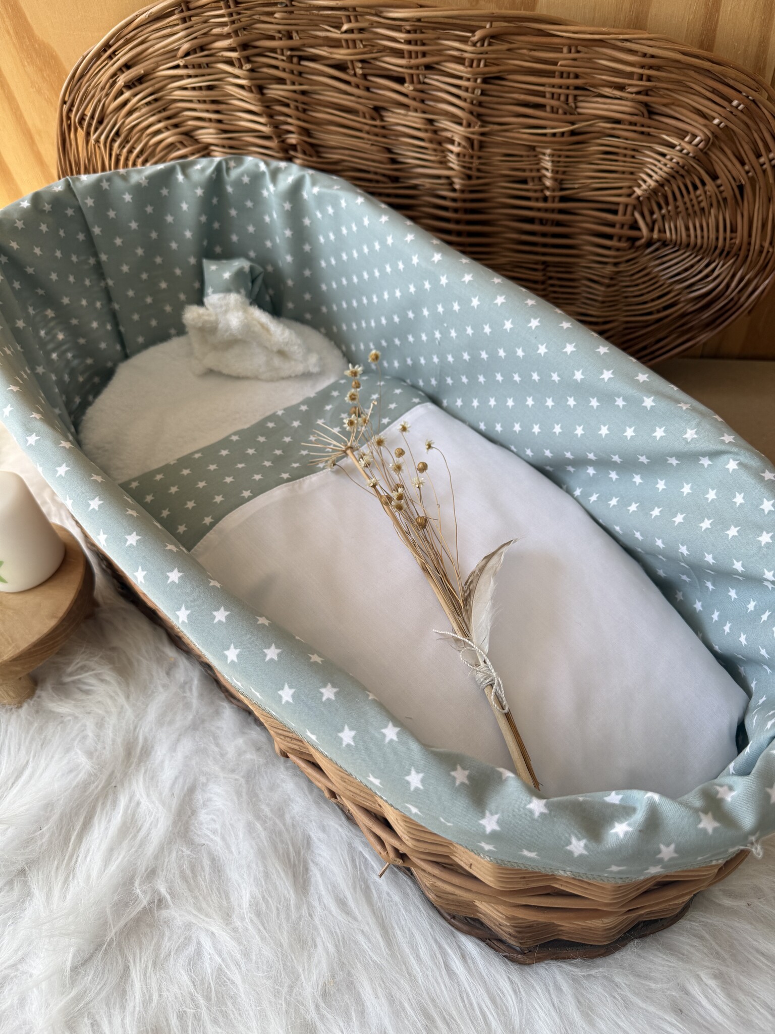 Wilgenteen Oleander 60 cm