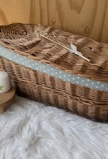 Wilgenteen Oleander 60 cm