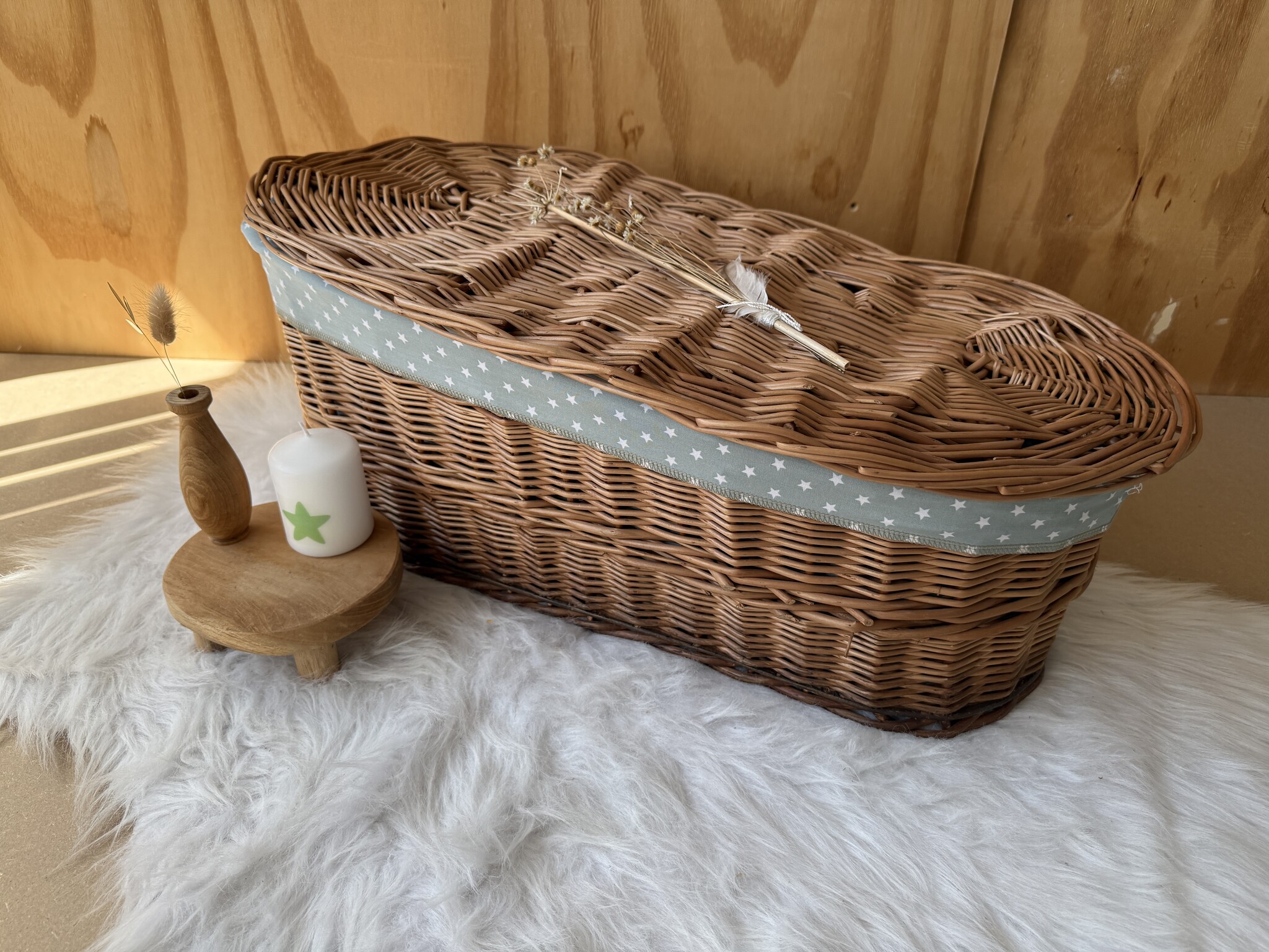 Wilgenteen Oleander 60 cm