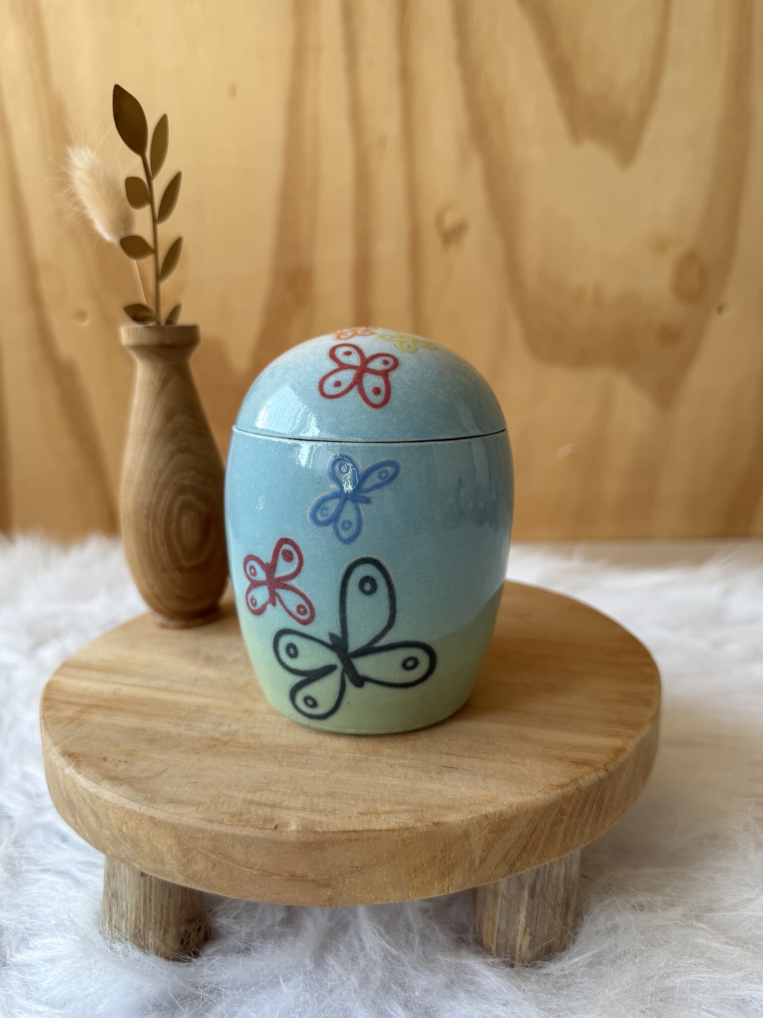 Urn Gekleurde vlinders