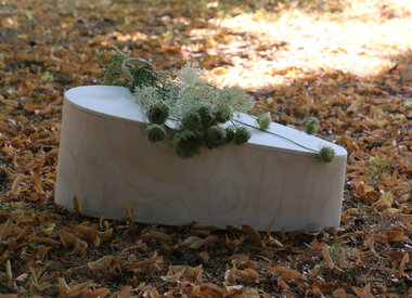 Hout