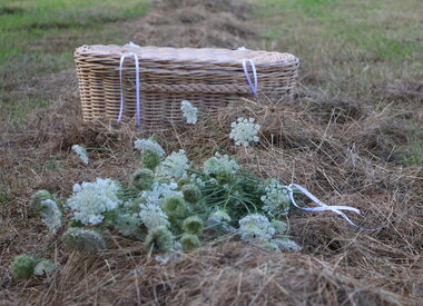 Natuurbegraven