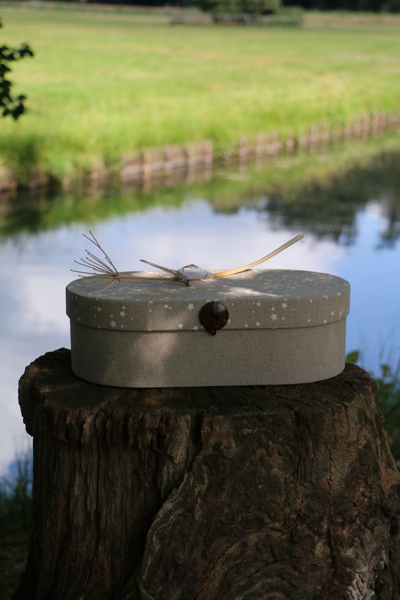 Afscheidsbox - Hulst