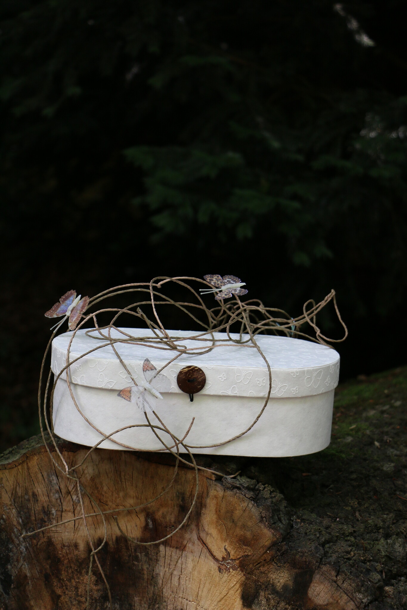 Afscheidsbox - Linde