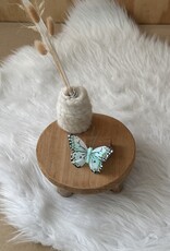 Vlindertje Lichtmint 10 cm