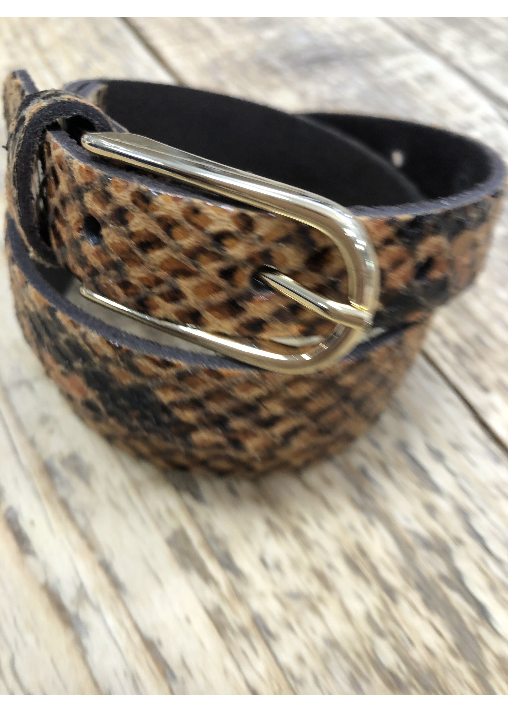 Riem leer snake cognac 2 cm met gouden gesp