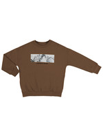 Mayoral Mayoral Street pullover Brown - 20 07457