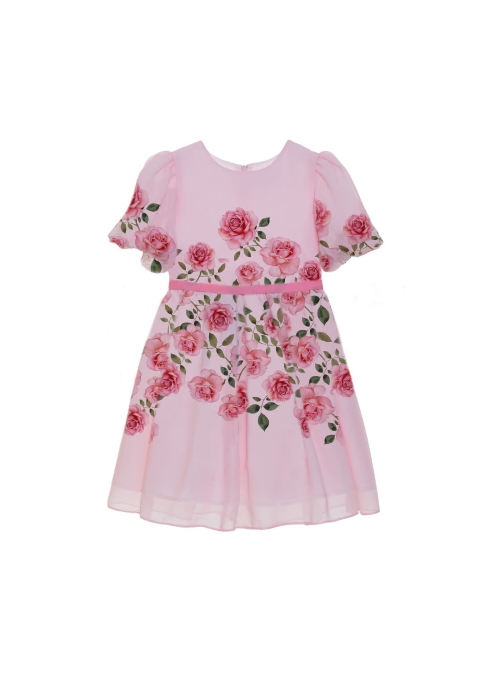 Patachou Patachou 3633520 ROSEBUD PRINT S23-23