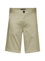 Tommy Hilfiger Tommy Hilfiger Shorts KB0KB06322ACO Misty Beige