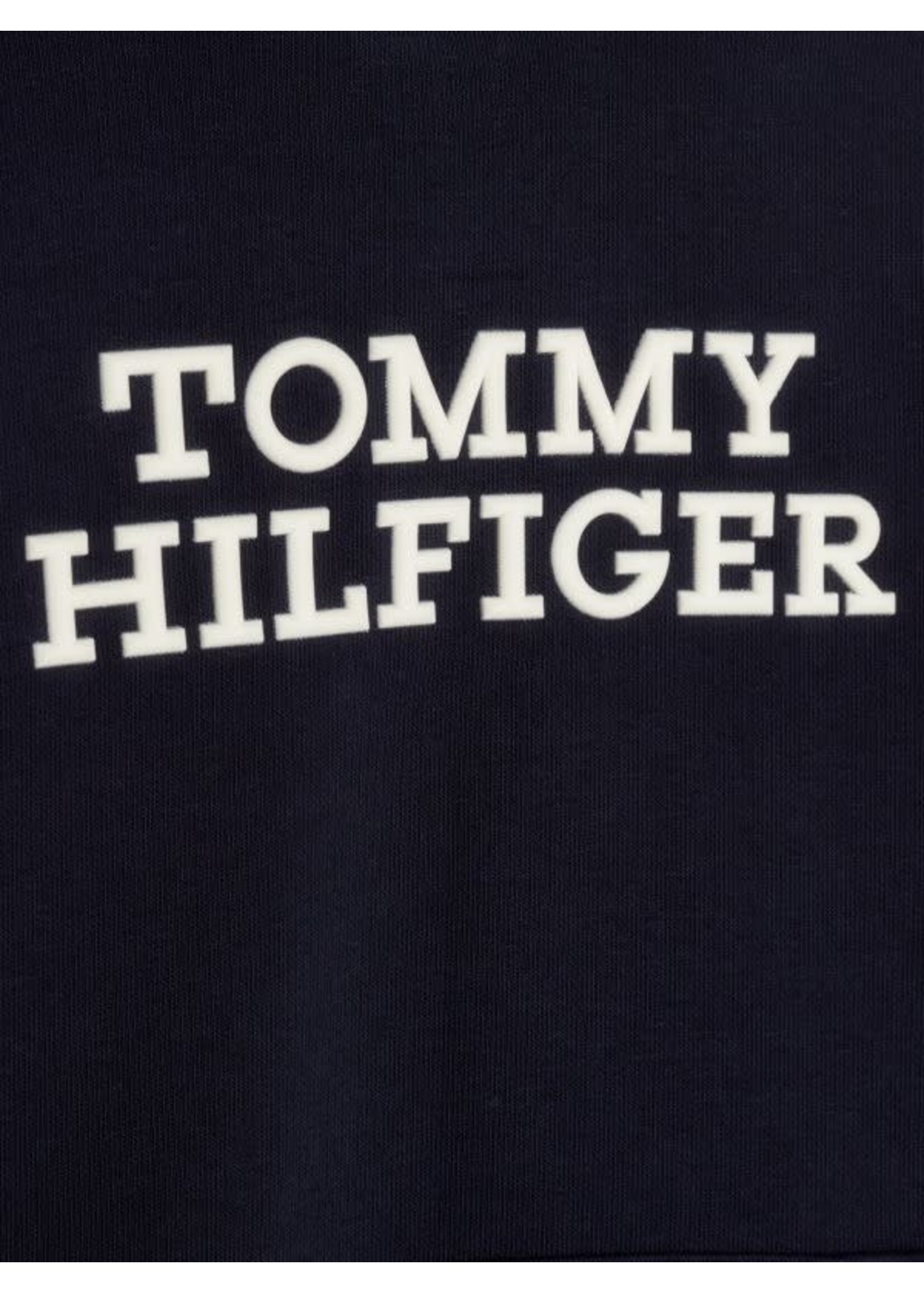 Tommy Hilfiger Tommy Hilfiger TOMMY HILFIGER LOGO HOODIE KB0KB08500DW5 DESERT SKY