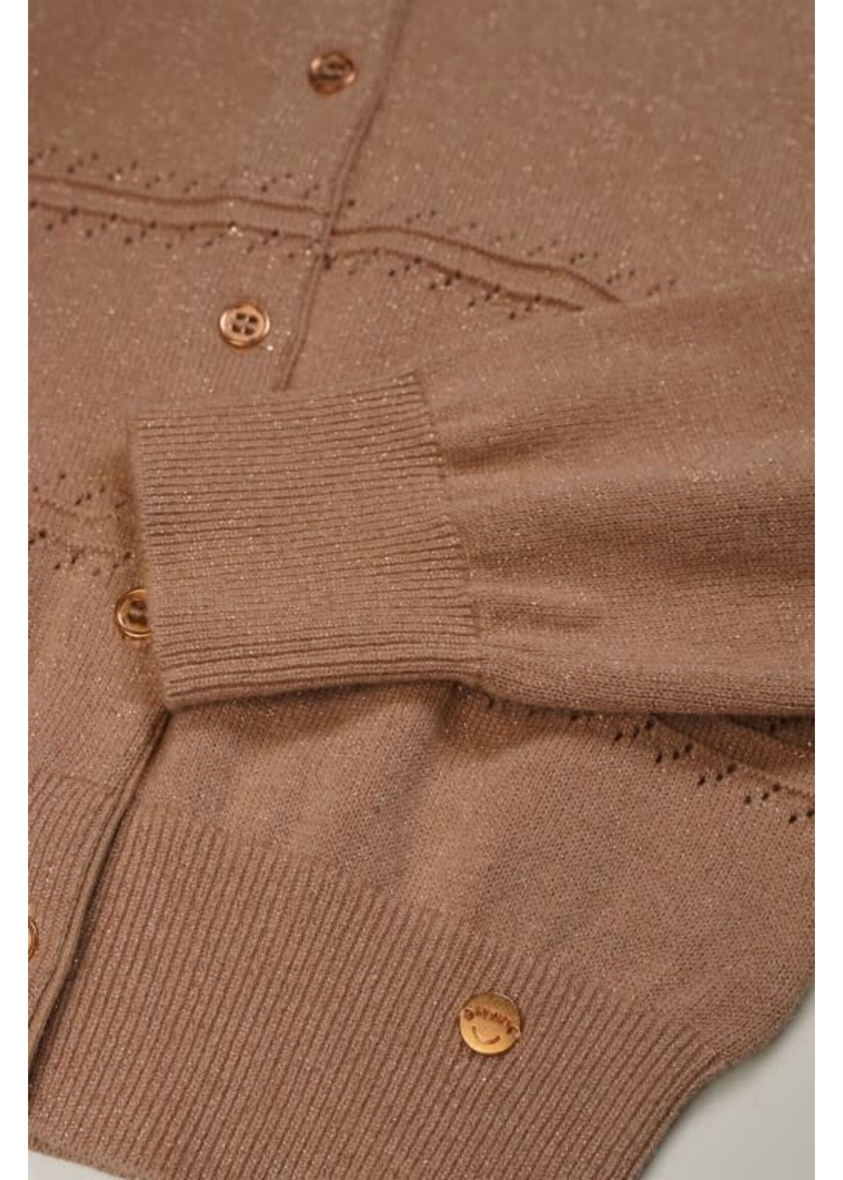 NoNo NoNo NONO Alia girls button up lurex knitted cardigan N312-5306 Sand Blush