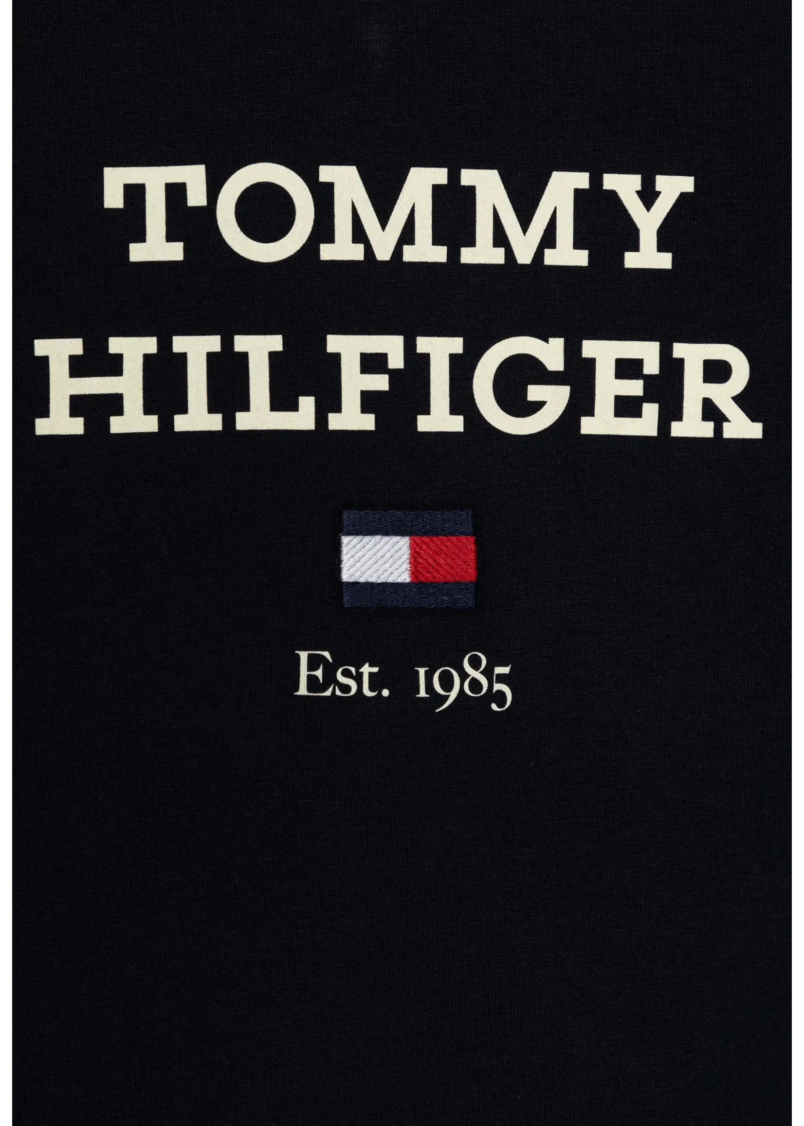 Tommy Hilfiger Tommy Hilfiger TH LOGO TEE L/S, DW5 KB0KB08672DW5 Desert Sky