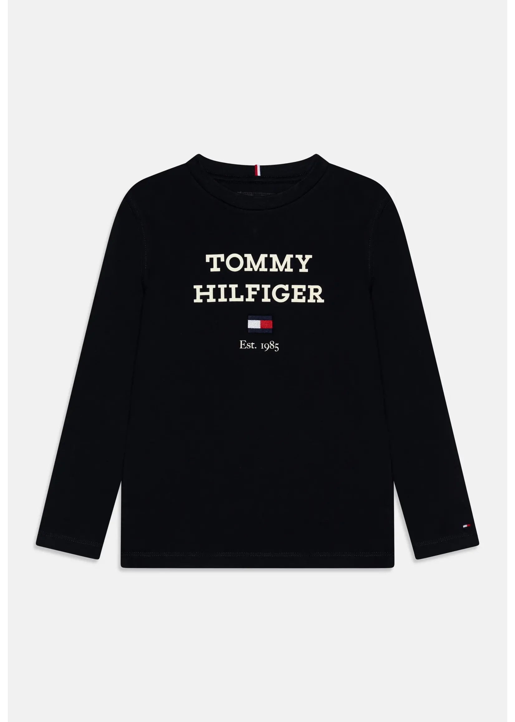 Tommy Hilfiger Tommy Hilfiger TH LOGO TEE L/S, DW5 KB0KB08672DW5 Desert Sky