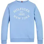 Tommy Hilfiger Tommy Hilfiger MONOTYPE FLOCK REG S, C1Z KB0KB09048C1Z Vessel Blue