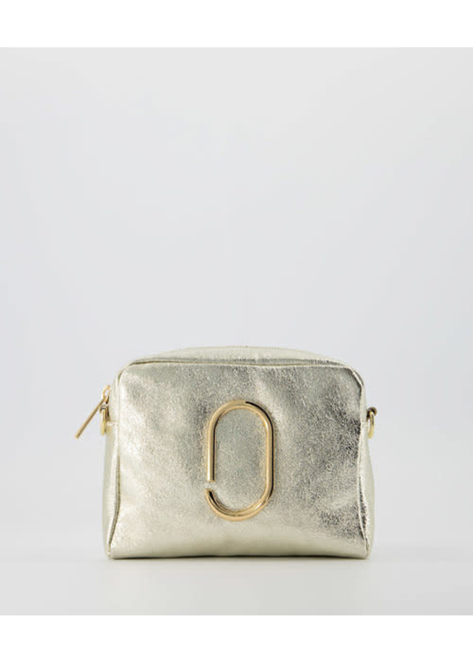 Leer Tasje goud  met goud detail