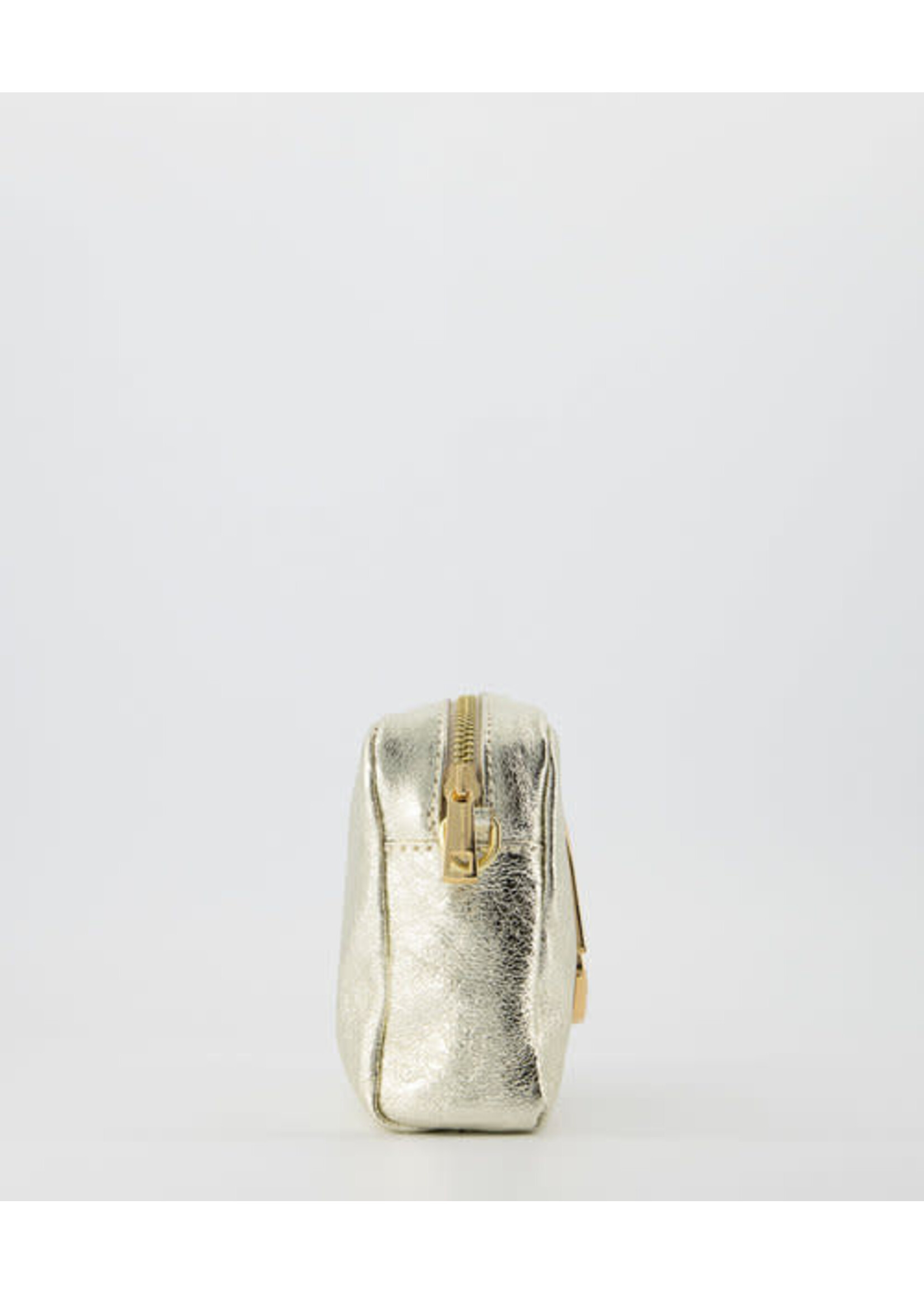 Leer Tasje goud  met goud detail