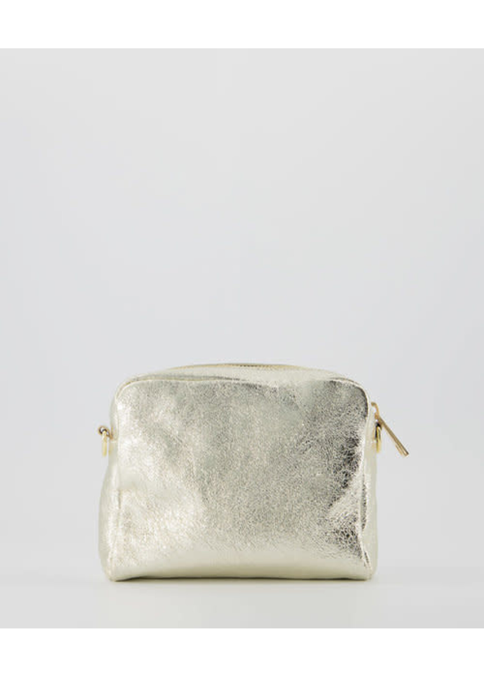 Leer Tasje goud  met goud detail