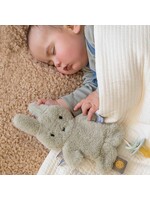 Little Dutch Little Dutch Nijntje speendoekje Fluffy Green