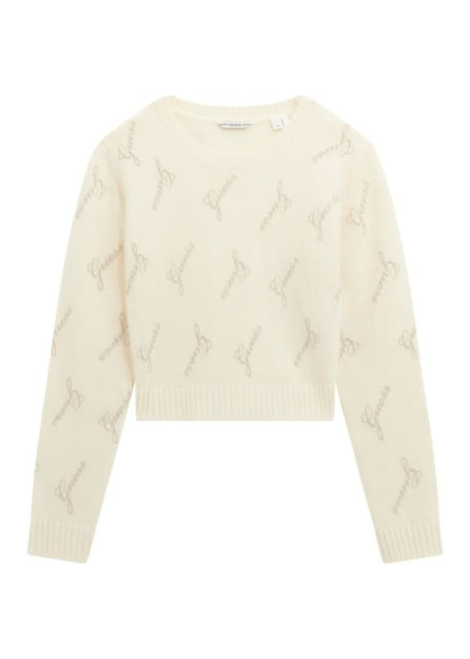 Guess Guess LS SWEATER ALLOVER LOGO GREY - J5BR28_Z0870