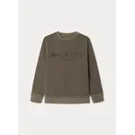 Hackett Hackett GMD HACKETT CREW WALNUT BROWN - HK5800003876K02
